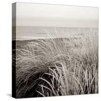 Tuscan Coast Dunes #2-Alan Blaustein-Stretched Canvas
