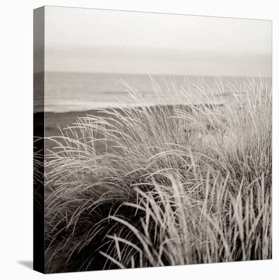 Tuscan Coast Dunes #2-Alan Blaustein-Stretched Canvas