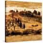 Tuscan Countryside II-Colin Floyd-Stretched Canvas