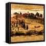 Tuscan Countryside II-Colin Floyd-Framed Stretched Canvas