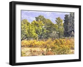 Tuscan Countryside In Autumn-Dorothy Berry-Lound-Framed Giclee Print