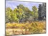 Tuscan Countryside In Autumn-Dorothy Berry-Lound-Mounted Giclee Print