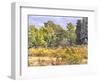 Tuscan Countryside In Autumn-Dorothy Berry-Lound-Framed Giclee Print