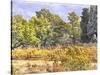 Tuscan Countryside In Autumn-Dorothy Berry-Lound-Stretched Canvas