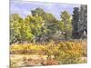 Tuscan Countryside In Autumn-Dorothy Berry-Lound-Mounted Giclee Print