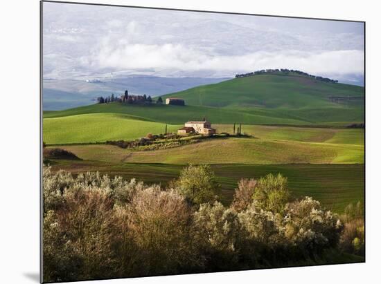 Tuscan Countryside-Vadim Ratsenskiy-Mounted Art Print