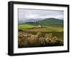 Tuscan Countryside-Vadim Ratsenskiy-Framed Art Print