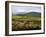 Tuscan Countryside-Vadim Ratsenskiy-Framed Art Print