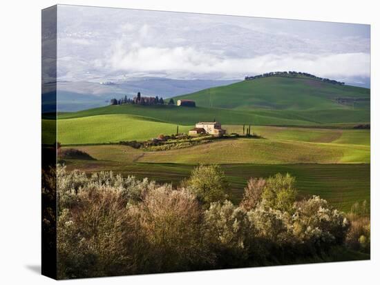 Tuscan Countryside-Vadim Ratsenskiy-Stretched Canvas
