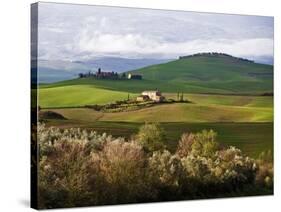 Tuscan Countryside-Vadim Ratsenskiy-Stretched Canvas