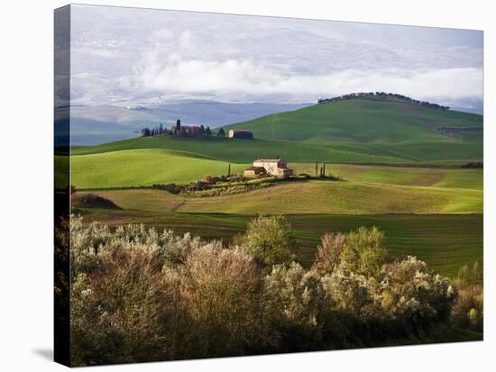 Tuscan Countryside-Vadim Ratsenskiy-Stretched Canvas