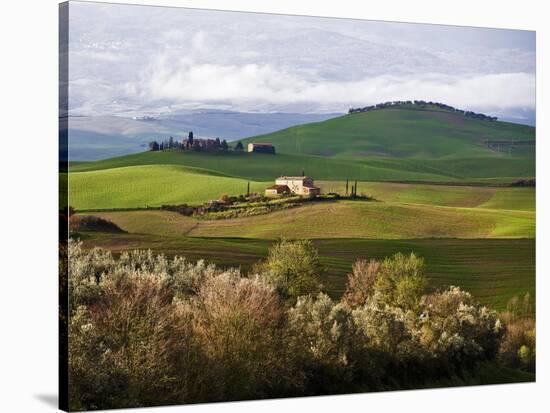 Tuscan Countryside-Vadim Ratsenskiy-Stretched Canvas