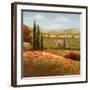 Tuscan Cypress I-Nan-Framed Art Print