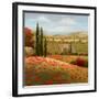 Tuscan Cypress I-Nan-Framed Art Print