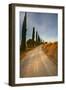 Tuscan Cypress Lined Back Road-Terry Eggers-Framed Photographic Print