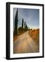 Tuscan Cypress Lined Back Road-Terry Eggers-Framed Photographic Print