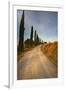 Tuscan Cypress Lined Back Road-Terry Eggers-Framed Photographic Print
