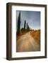 Tuscan Cypress Lined Back Road-Terry Eggers-Framed Photographic Print