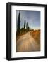 Tuscan Cypress Lined Back Road-Terry Eggers-Framed Photographic Print