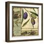 Tuscan Delight I-Lisa Audit-Framed Art Print