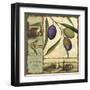 Tuscan Delight I-Lisa Audit-Framed Art Print