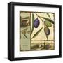 Tuscan Delight I-Lisa Audit-Framed Art Print