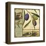 Tuscan Delight I-Lisa Audit-Framed Art Print