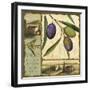 Tuscan Delight I-Lisa Audit-Framed Giclee Print