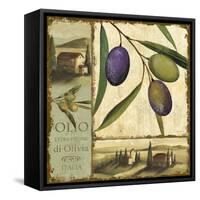 Tuscan Delight I-Lisa Audit-Framed Stretched Canvas