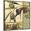 Tuscan Delight II-Lisa Audit-Stretched Canvas