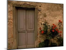 Tuscan Doorway, Castellina, Il Chianti, Tuscany, Italy-Walter Bibikow-Mounted Premium Photographic Print