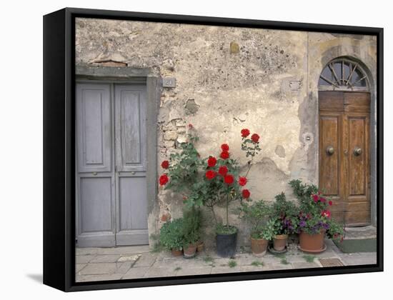 Tuscan Doorway in Castellina in Chianti, Italy-Walter Bibikow-Framed Stretched Canvas