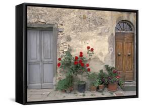 Tuscan Doorway in Castellina in Chianti, Italy-Walter Bibikow-Framed Stretched Canvas