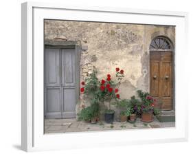 Tuscan Doorway in Castellina in Chianti, Italy-Walter Bibikow-Framed Photographic Print