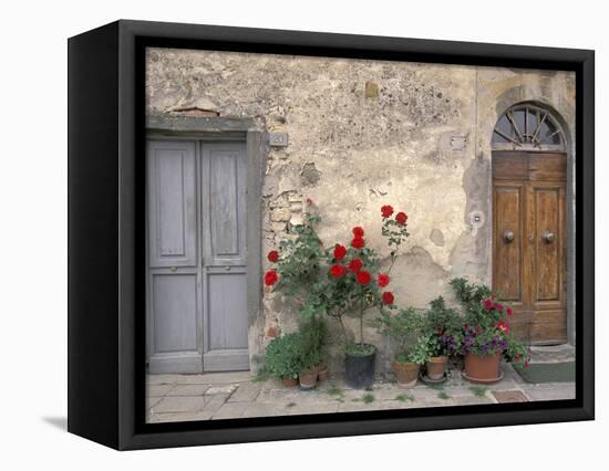 Tuscan Doorway in Castellina in Chianti, Italy-Walter Bibikow-Framed Stretched Canvas