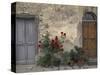 Tuscan Doorway in Castellina in Chianti, Italy-Walter Bibikow-Stretched Canvas