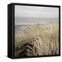 Tuscan Dunes #2A-Alan Blaustein-Framed Stretched Canvas