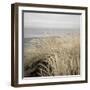 Tuscan Dunes #2A-Alan Blaustein-Framed Photographic Print