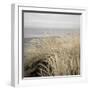 Tuscan Dunes #2A-Alan Blaustein-Framed Photographic Print