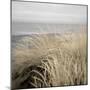 Tuscan Dunes #2A-Alan Blaustein-Mounted Photographic Print