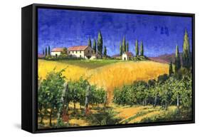 Tuscan Evening-Michael Swanson-Framed Stretched Canvas