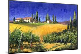 Tuscan Evening-Michael Swanson-Mounted Art Print