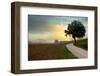 Tuscan Farm Road #1-Alan Blaustein-Framed Photographic Print