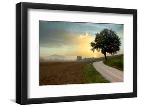 Tuscan Farm Road #1-Alan Blaustein-Framed Photographic Print