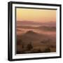 Tuscan farmhouse with cypress trees in misty landscape at sunrise, San Quirico d'Orcia-Stuart Black-Framed Photographic Print