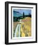 Tuscan Field II-Peter Fiore-Framed Art Print