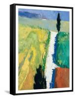 Tuscan Field II-Peter Fiore-Framed Stretched Canvas