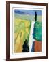 Tuscan Field II-Peter Fiore-Framed Art Print