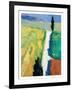 Tuscan Field II-Peter Fiore-Framed Art Print