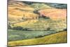 Tuscan Field Patterns-Robert Goldwitz-Mounted Photographic Print